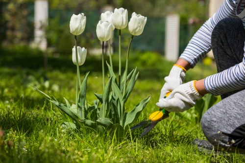 Tree pruning for a Thorntonheath commercial or shared property setting