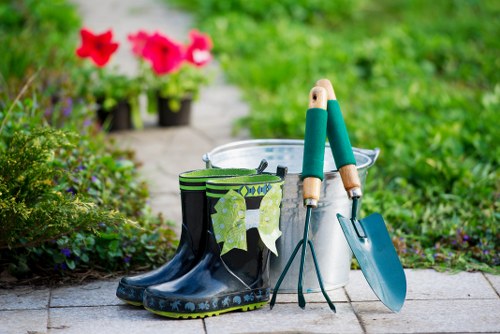Arborist planning controlled tree surgery operations
