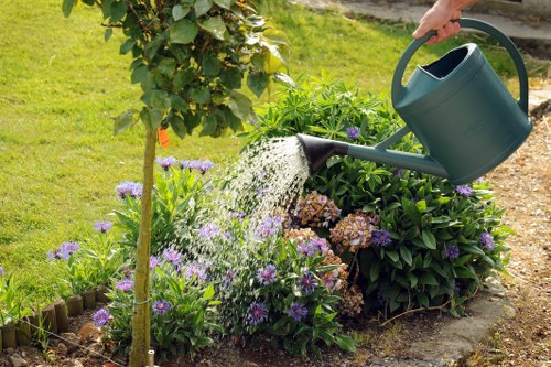 Careful crown reduction on a mature tree with limited garden access