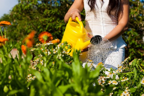 Stump grinding service for a garden or commercial outdoor space in Thorntonheath