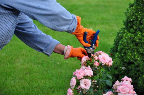 Annual modern slavery policy review for Thorntonheath tree surgeons