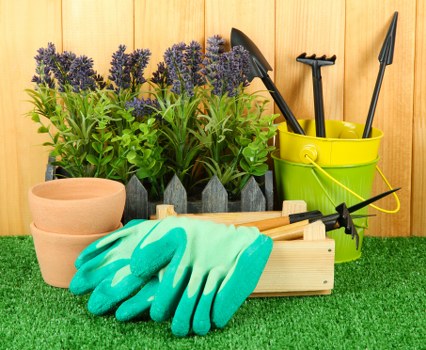 Professional crown reduction service for gardens and commercial sites in Thorntonheath